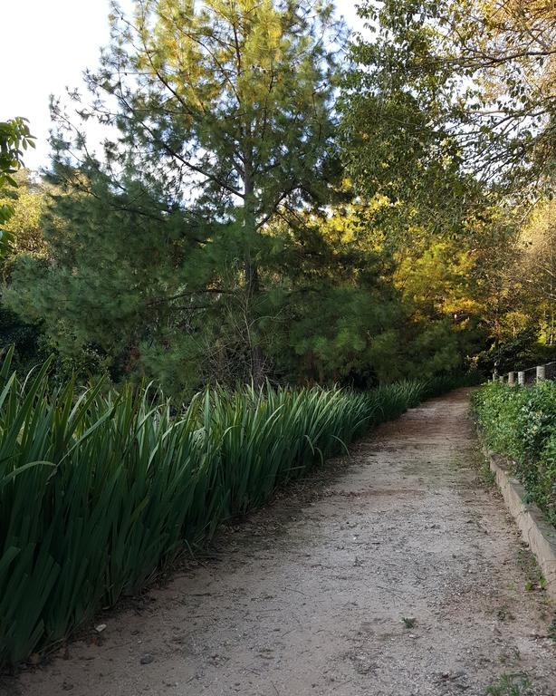 Pousada Recanto Dos Beija Flores Monte Alegre do Sul Exterior foto