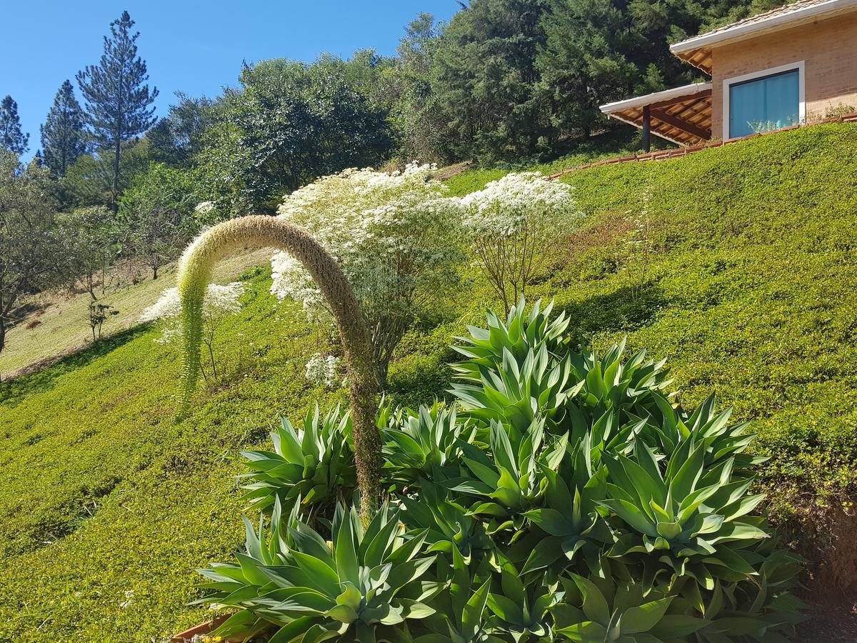 Pousada Recanto Dos Beija Flores Monte Alegre do Sul Exterior foto