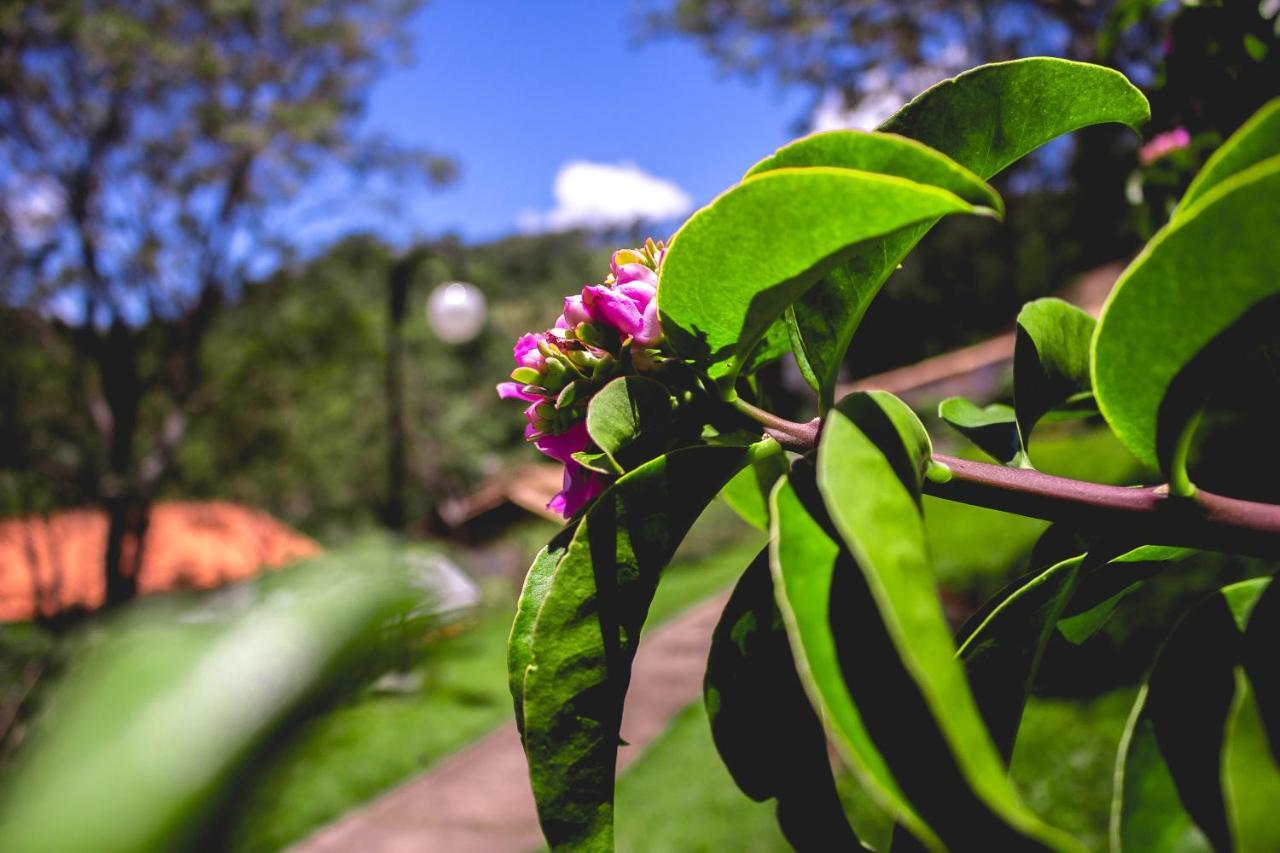 Pousada Recanto Dos Beija Flores Monte Alegre do Sul Exterior foto